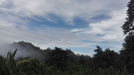 Land for sale in Mae Sap, Chiang Mai