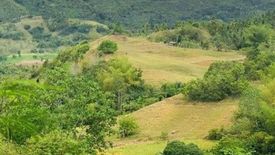 Land for sale in Baring, Cebu