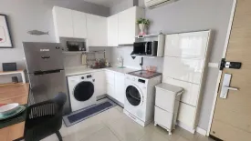 1 Bedroom Condo for rent in The Coast Bangkok, Bang Na, Bangkok near BTS Bang Na