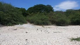 Land for sale in Cabaroan, La Union