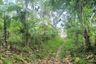 Land for sale in Karang Ayu, Central Java
