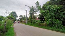 Land for sale in Dao, Bohol