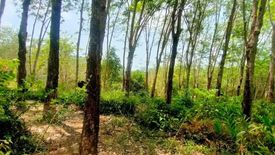 Land for sale in Pa Khlok, Phuket