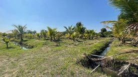 ขายที่ดิน ใน บ้านกลาง, สันป่าตอง