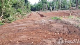 Land for sale in Maret, Surat Thani