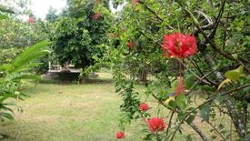 Land for sale in Lusacan, Quezon