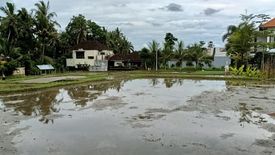 Tanah dijual dengan  di Batubulan, Bali