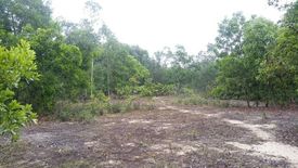 Land for sale in Binh Dinh Nam, Quang Nam