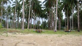 Land for sale in New Agutaya, Palawan