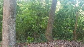 Land for sale in Casili, Cebu