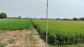 Land for sale in Pa Phutsa, Kamphaeng Phet