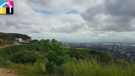 Land for sale in Guadalupe, Cebu