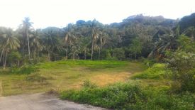 Land for sale in Central Poblacion, Cebu