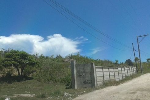 Land for Sale or Rent in Jubay, Cebu