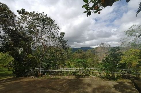 Land for sale in Paril, Cebu
