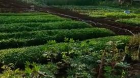 Tanah dijual dengan  di Jurang Mangu Timur, Banten