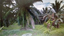 Land for sale in Bukit Rotan, Selangor