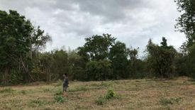 Land for sale in Sam Ngao, Tak