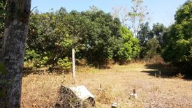 Land for sale in Bucayab, La Union