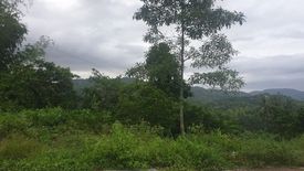 Land for sale in Pulangbato, Cebu