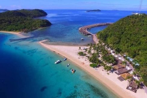 Commercial for sale in Panlaitan, Palawan