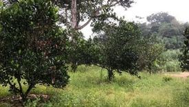 Land for sale in Bidor, Perak