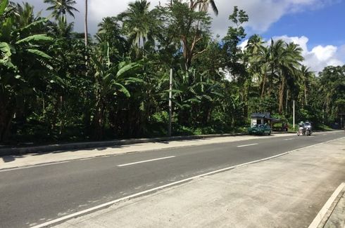 Land for sale in Manasa, Quezon
