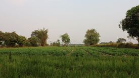 Land for sale in Khamin, Sakon Nakhon