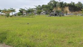 Land for sale in Talamban, Cebu