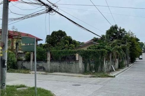 Land for rent in Pinagsama, Metro Manila