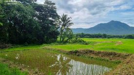 Land for sale in On Klang, Chiang Mai