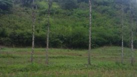Tanah dijual dengan  di Aik Berik, Nusa Tenggara Barat