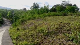 Land for sale in San Roque, Cebu