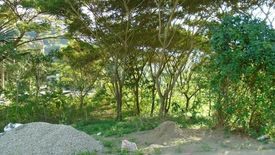 Land for sale in Pulangbato, Cebu