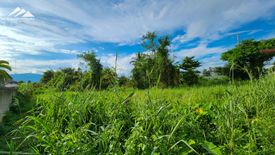 Land for sale in Fa Ham, Chiang Mai