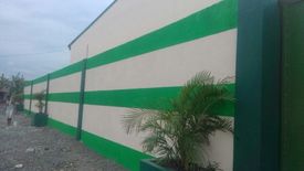 Commercial for sale in Pinagsama, Metro Manila
