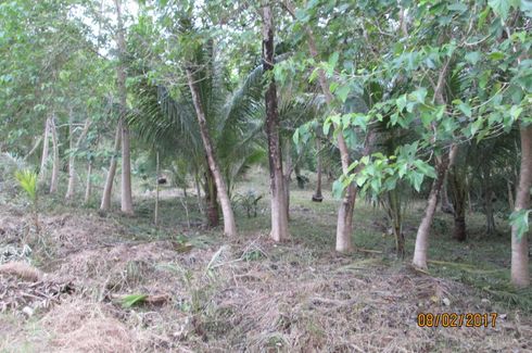 Land for sale in Sicsican, Palawan