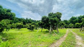 Land for sale in Mueang Kaeo, Chiang Mai