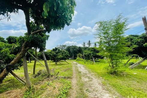 Land for sale in Mueang Kaeo, Chiang Mai