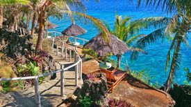 Commercial for sale in Catungawan Sur, Bohol