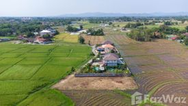 Land for sale in San Pu Loei, Chiang Mai