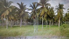 Land for sale in Kuala Selangor, Selangor