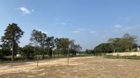 Land for sale in San Phak Wan, Chiang Mai