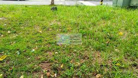 Land for sale in Talamban, Cebu