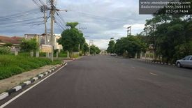 Land for sale in San Phak Wan, Chiang Mai