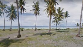 Land for sale in Pili, Cebu