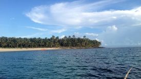 Land for sale in Sico-Sico, Surigao del Norte