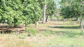 Land for sale in Bueng Nakhon, Prachuap Khiri Khan