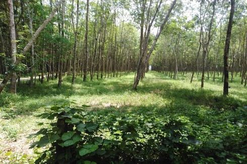 Land for sale in Takua Pa, Phang Nga