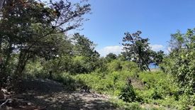 Land for sale in Bingag, Bohol